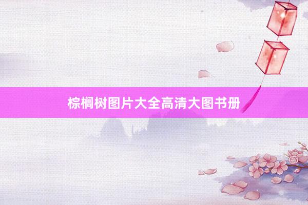 棕榈树图片大全高清大图书册